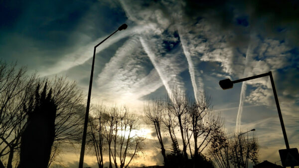 Wolfgang Skischally erklärt: Wie schädlich ist Elektrosmog in der Wohnung?